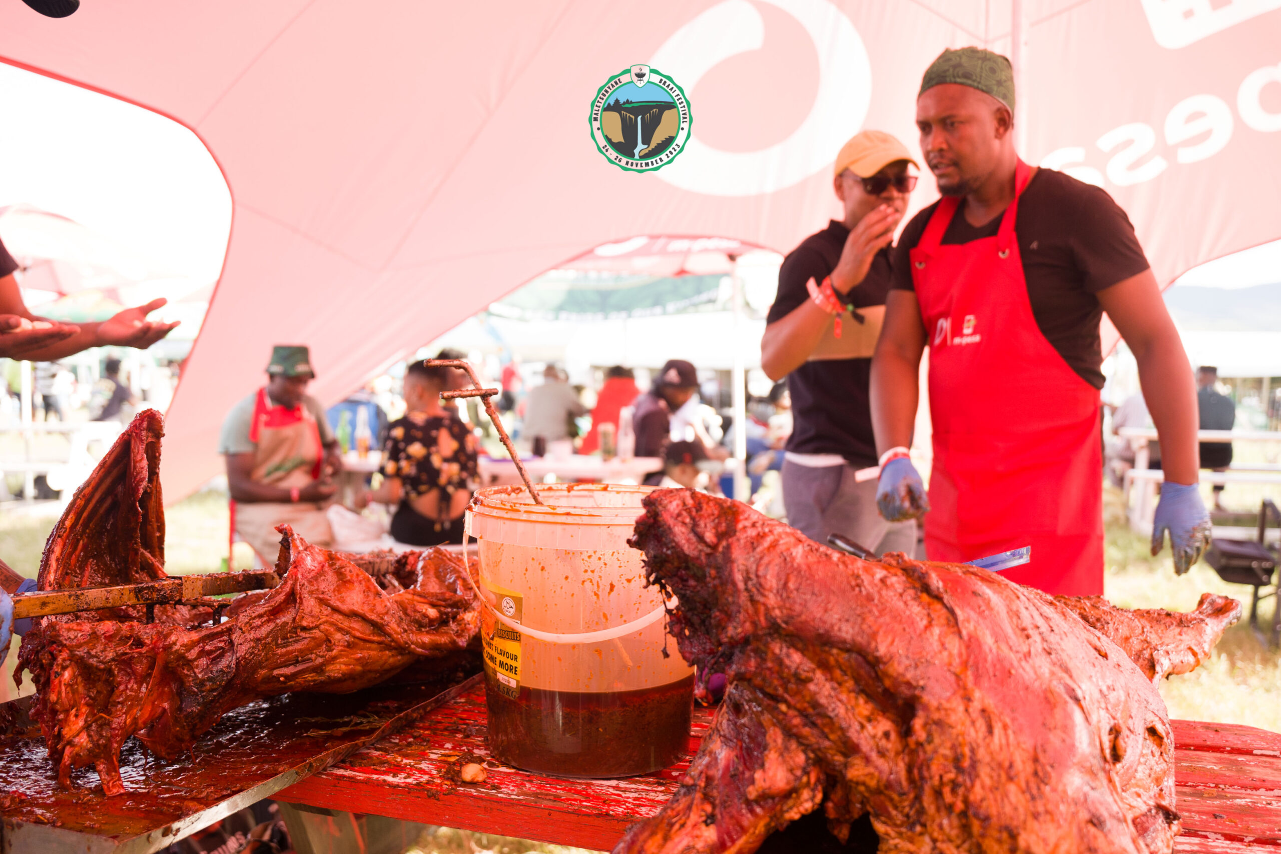 Vulture Conservation